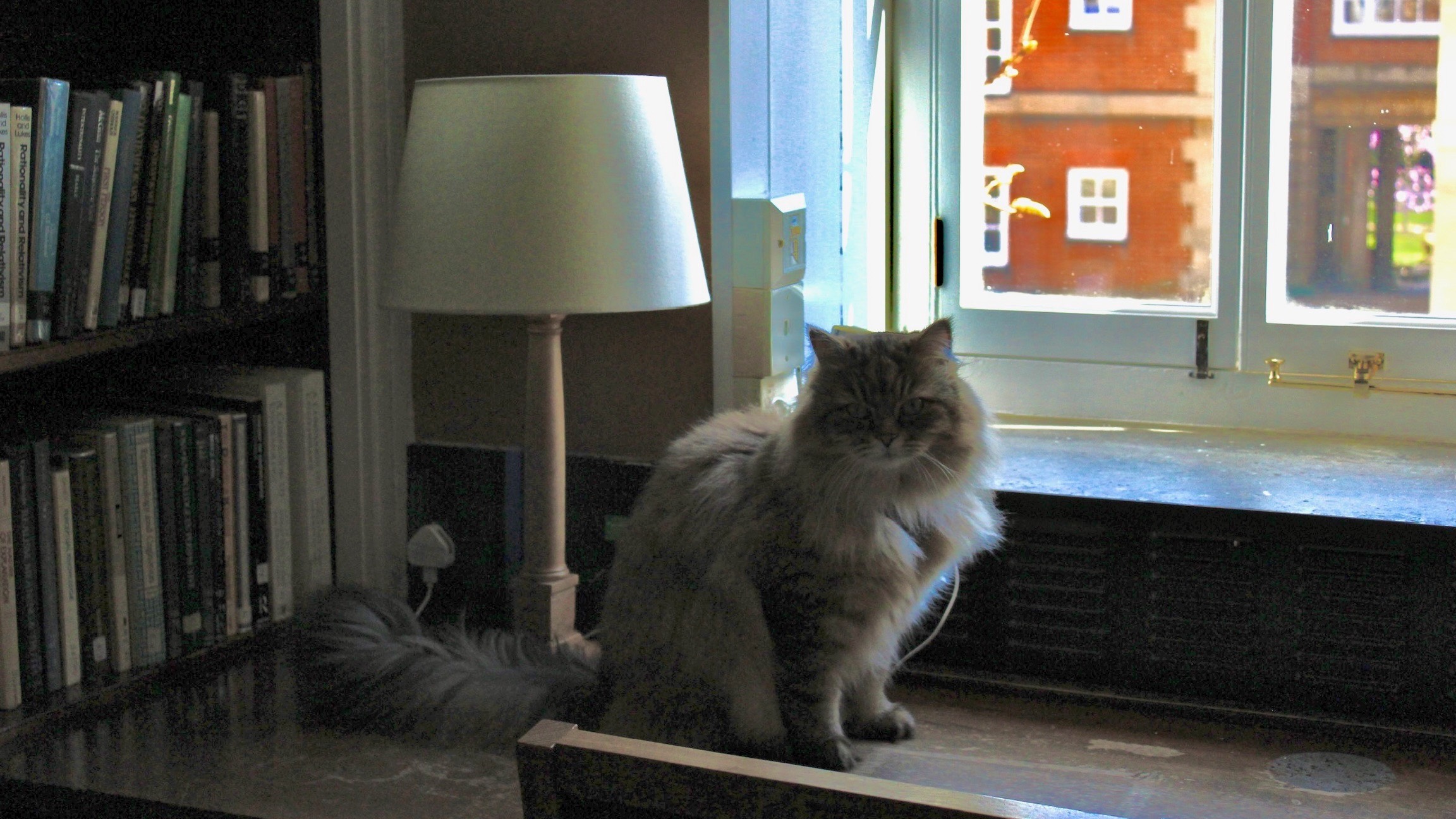 Isambard Kitty Brunel